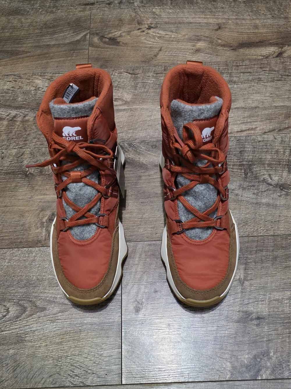 Sorel new kinetic